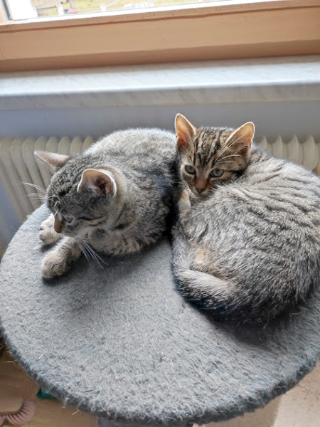 Rana und Marvis